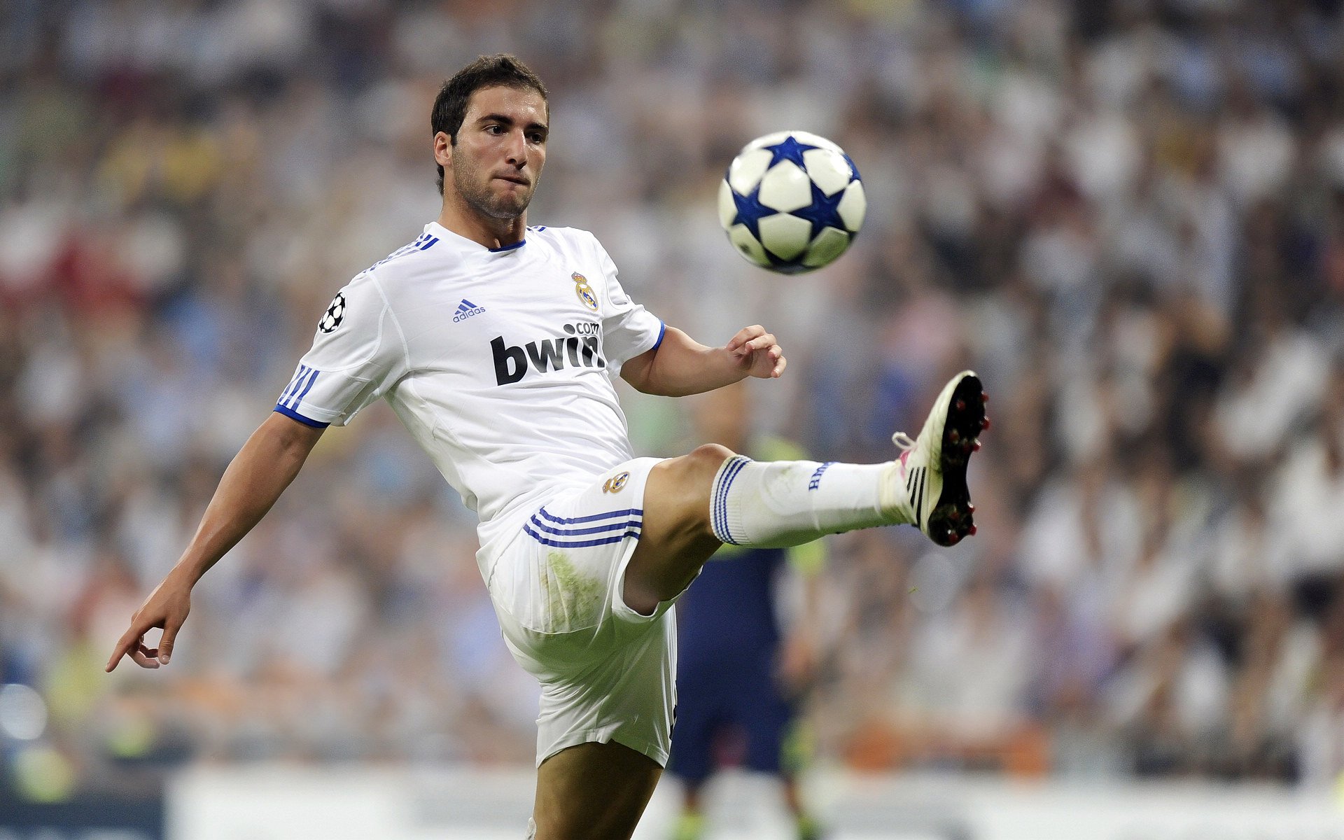 开云体育-4球9助攻！19岁荷兰新带刀后卫荷甲横空出世，5大欧洲豪门疯抢，最强荷兰后卫